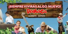 Panaca